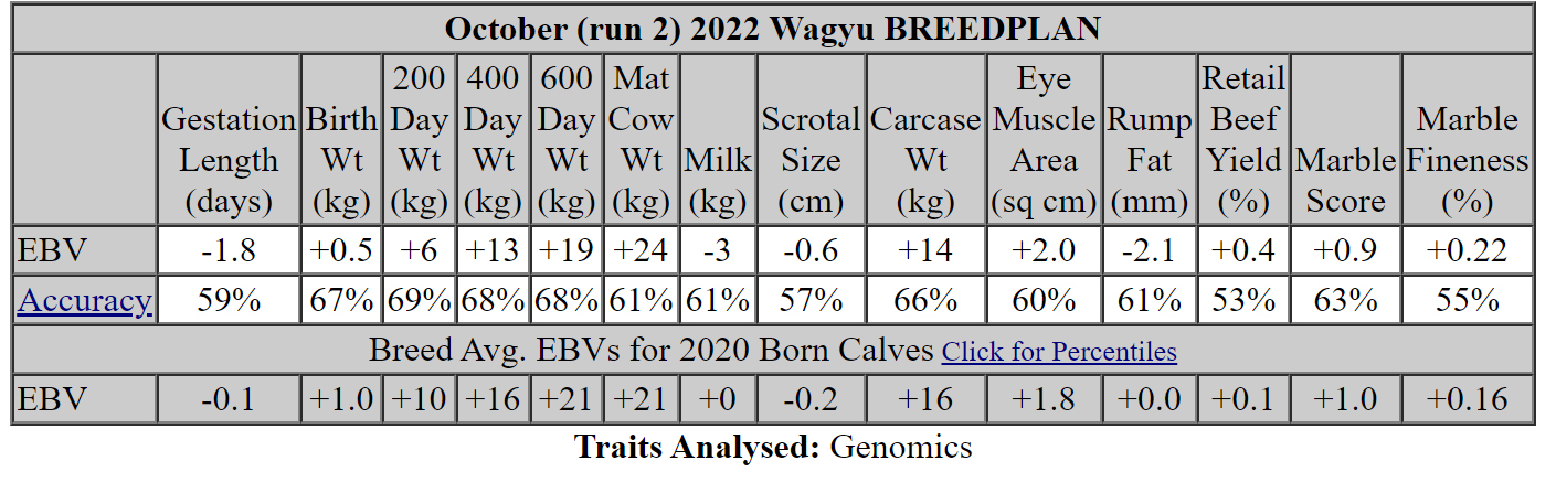 Norman Wagyu SJNFS00 EBV - Wagyu Breedplan Oct 2022