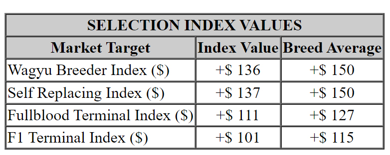 Norman Wagyu SJNFS002 - Selection Index Values