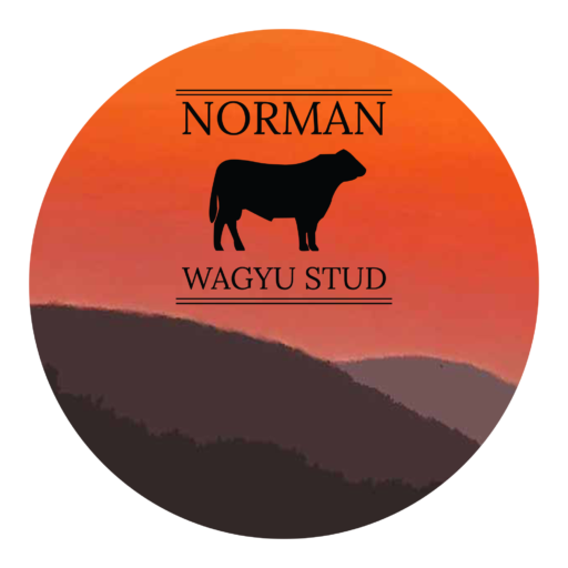 Norman Wagyu Stud